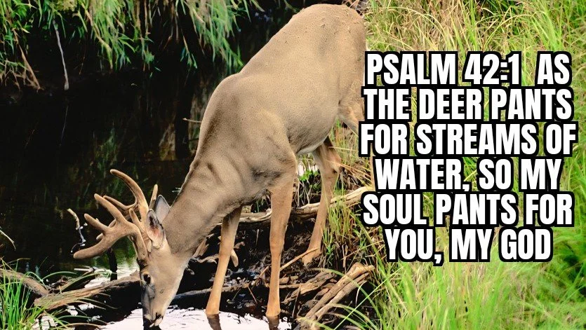 GETTING THROUGH THE DRY SEASONS