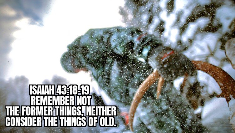 LOOKING FORWARD...&nbsp; NOT BACK