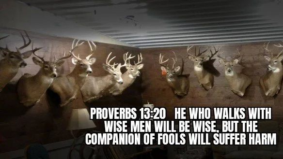 THE COMPANION OF FOOLS