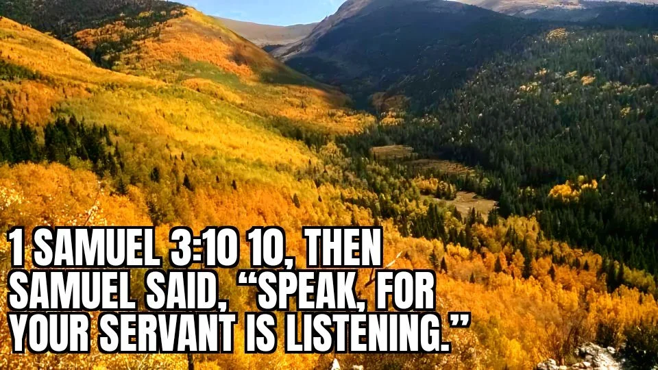 AN INTRODUCTION TO THE CREATOR 