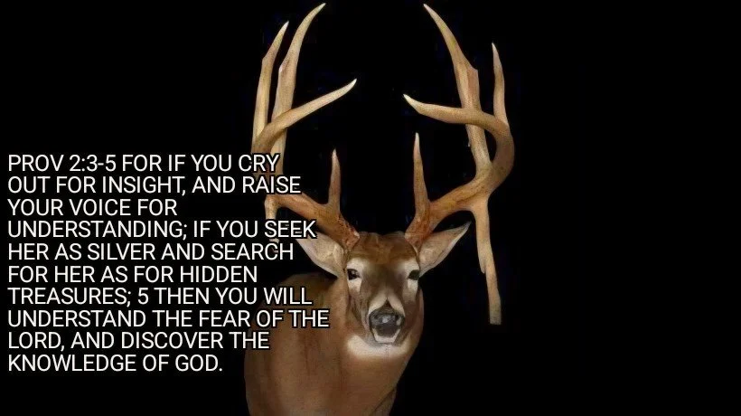 PAY ATTENTION, HE'S GOT BIGGER PLANS