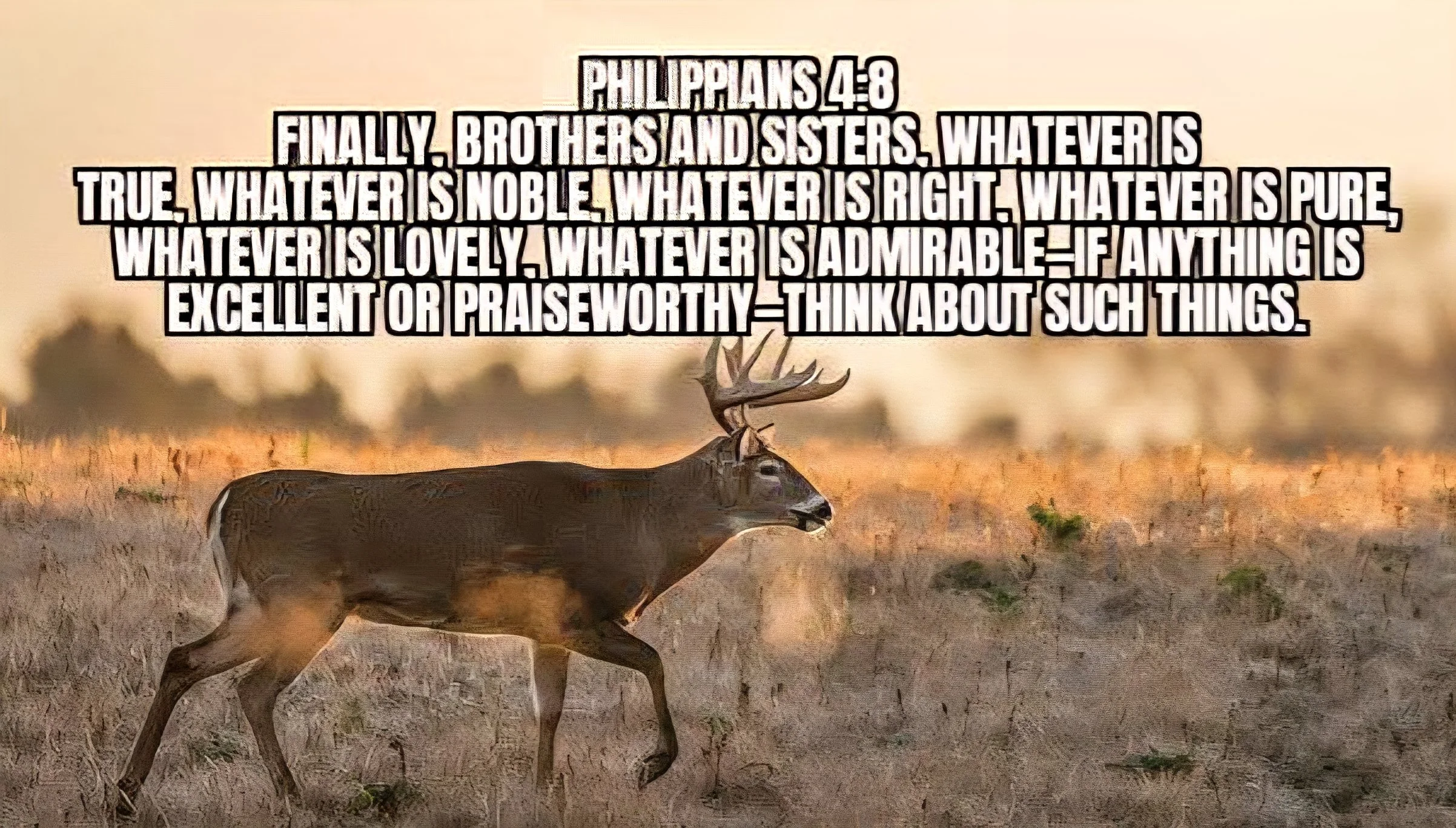 THE BEST THINGS IN LIFE