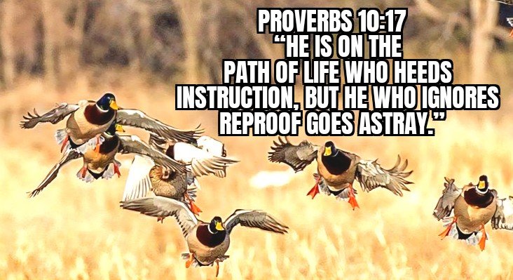 LEARNING TO HIT THE MARK