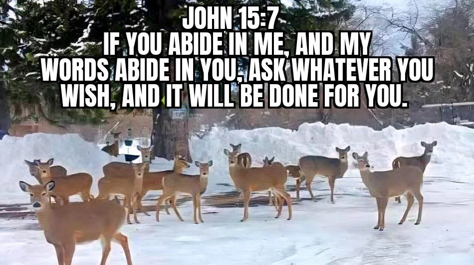 IN THE STORMS AND OUT, TRUST IN HIM