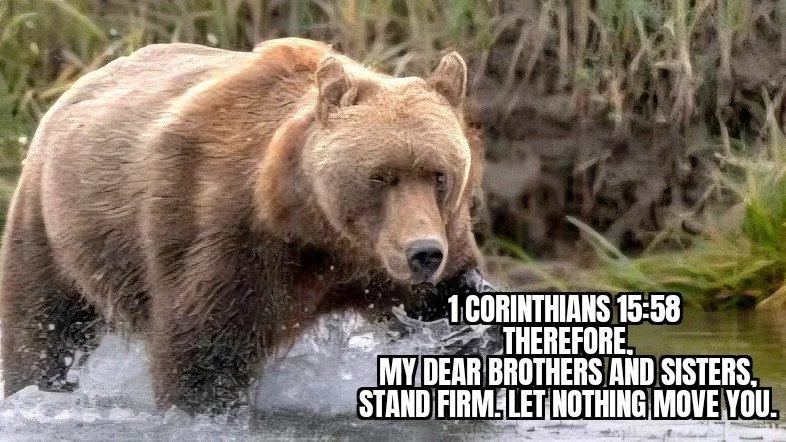 STANDING FIRM
