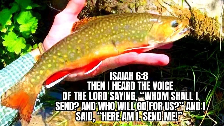 STEPPING OUT IN SERVICE