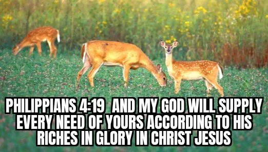 My God Will Supply Every Need