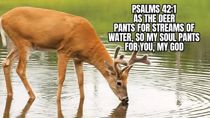 PASS ON THE THIRST