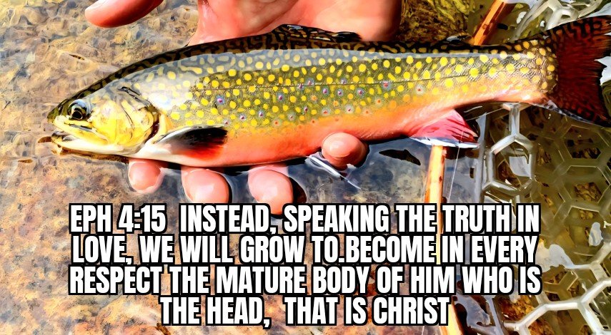 Truth in love