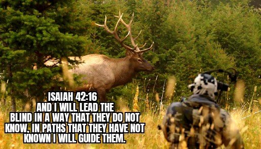 GOOD GUIDING, POOR FOLLOWING