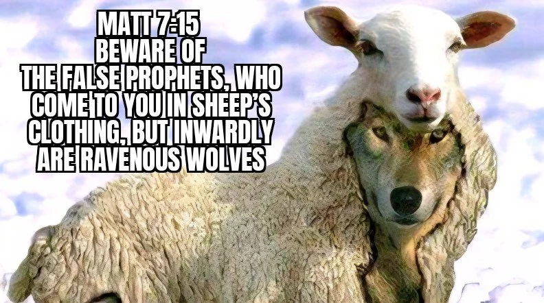 WOLF IN SHEEP’S CLOTHING