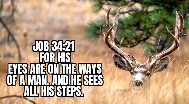 HE SEES OUR STEPS