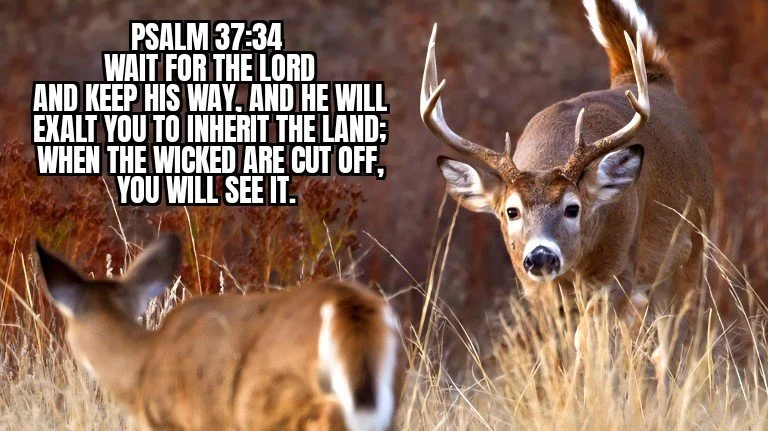Just Wait!