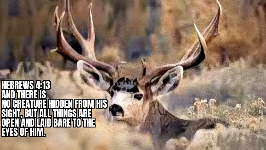 IT WILL ALL BE SEEN