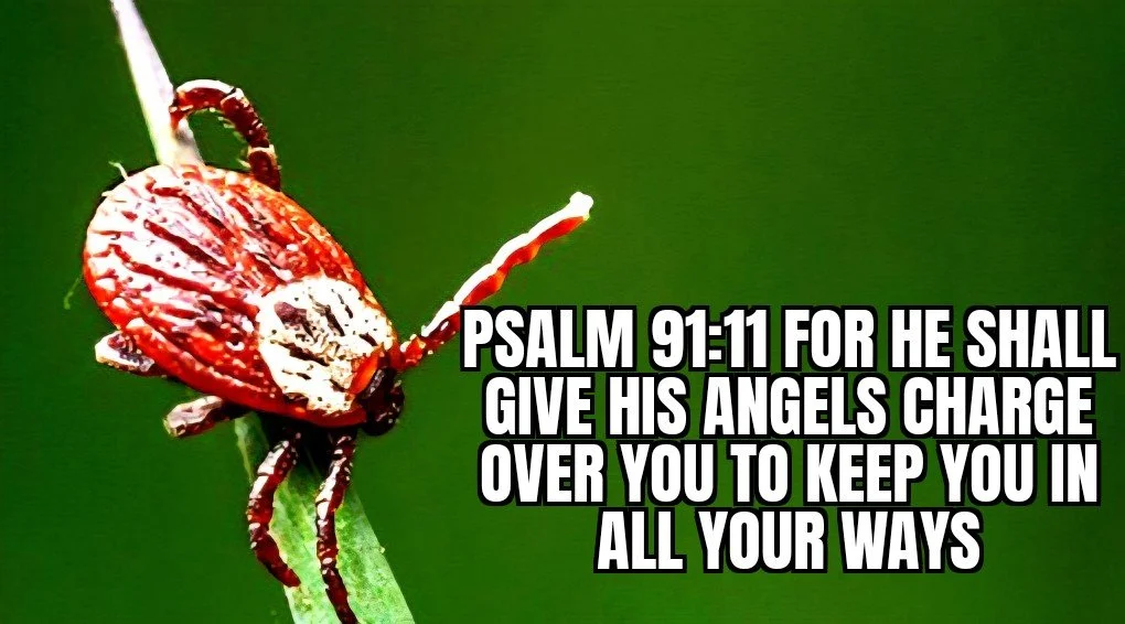 Divine Protection