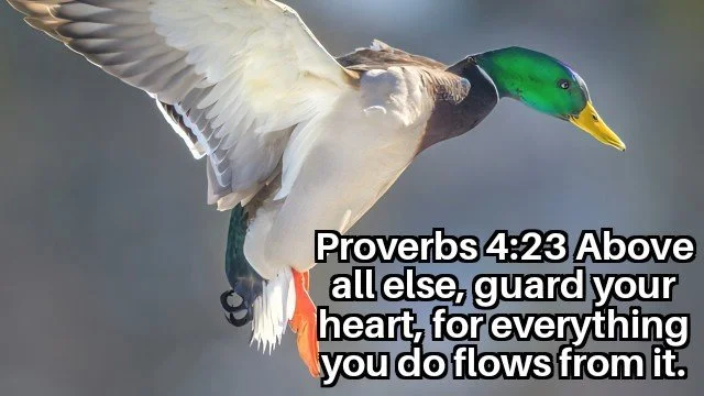 GUARD YOUR HEART 