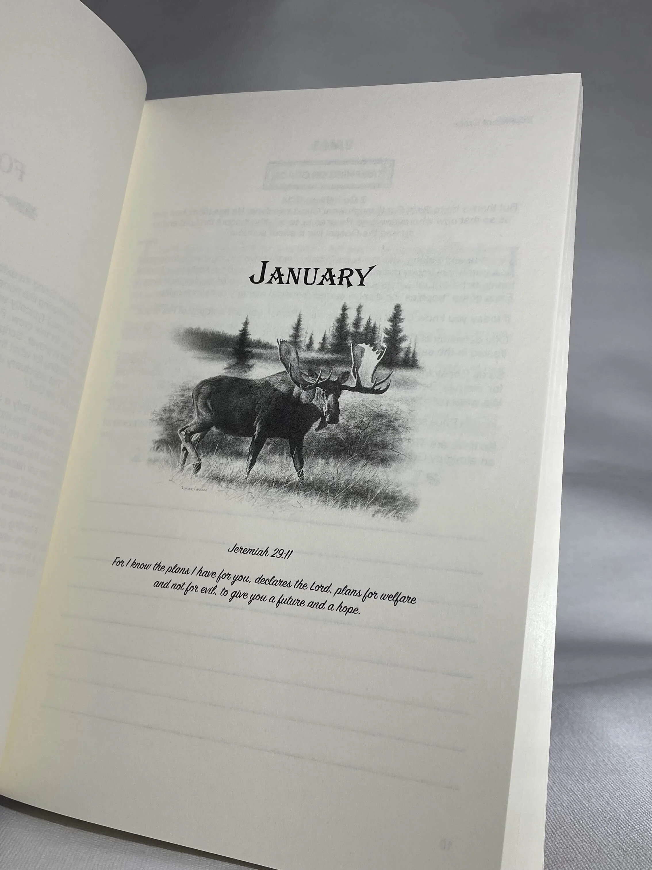 book-trophies-of-grace-3-tiny.jpg