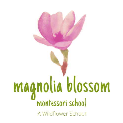 magnolia blossom.png