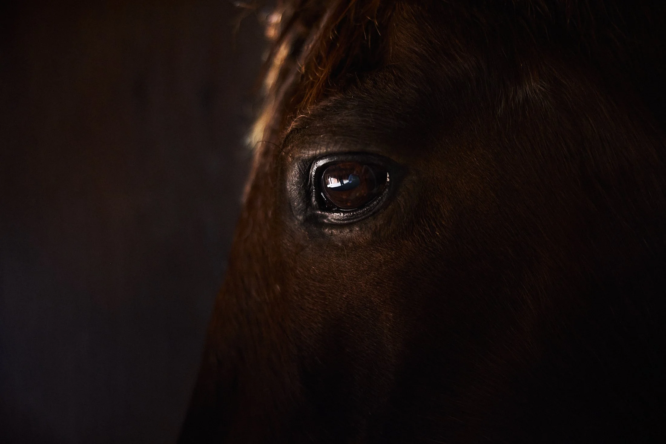 D3-S1-RANCHER_0464 1.jpg