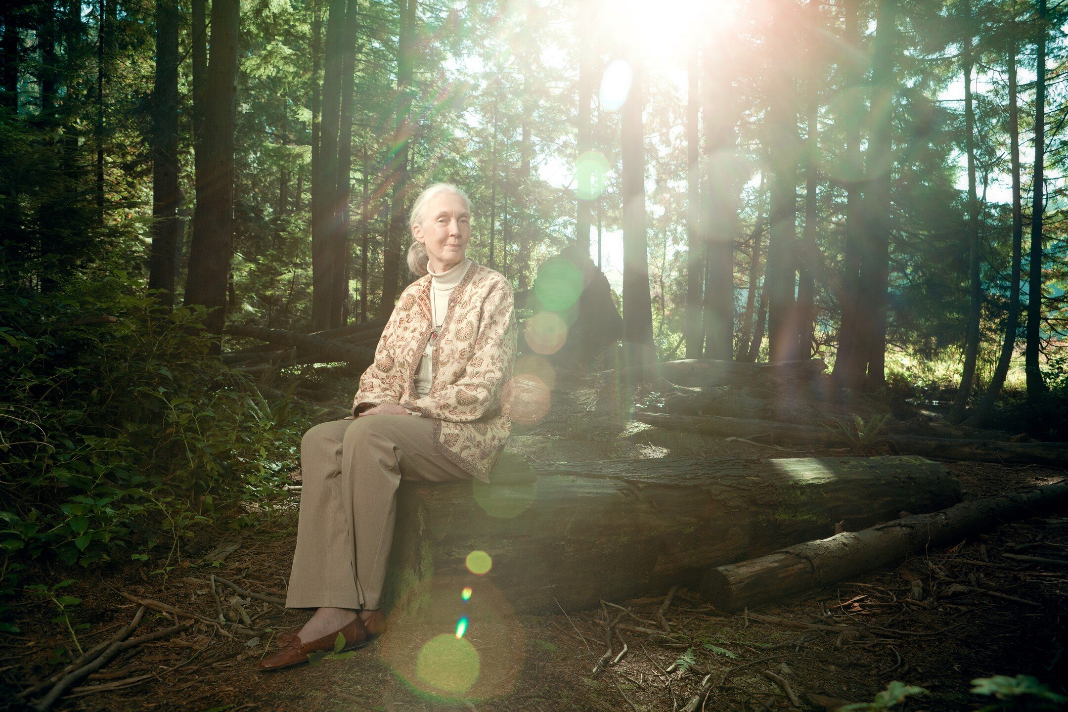 @janegoodallinst 
90 years young! Shot by @crismanphoto