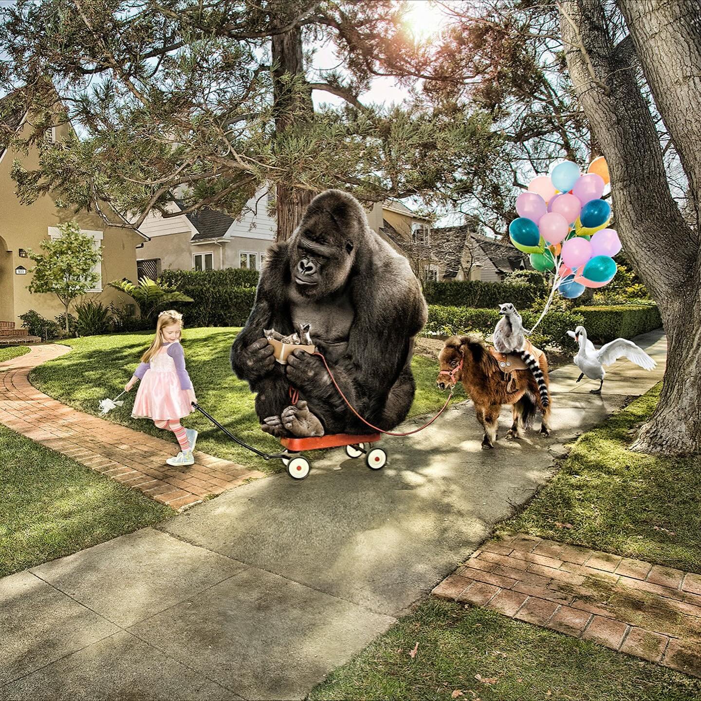 @danescobarphoto 

If you can make it up, so can Dan.

Toddler pulling a gorilla in a wagon? ✅

Dress made from Cabernet? ✅

Man carrying a full grown bull? ✅

Astronaut tethered to a kid&rsquo;s room? ✅