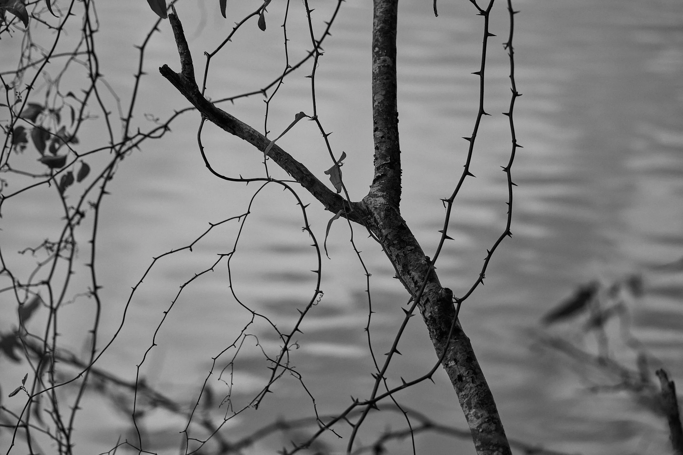 D3-S3-FISHING_COUPLE_0130 1.jpg