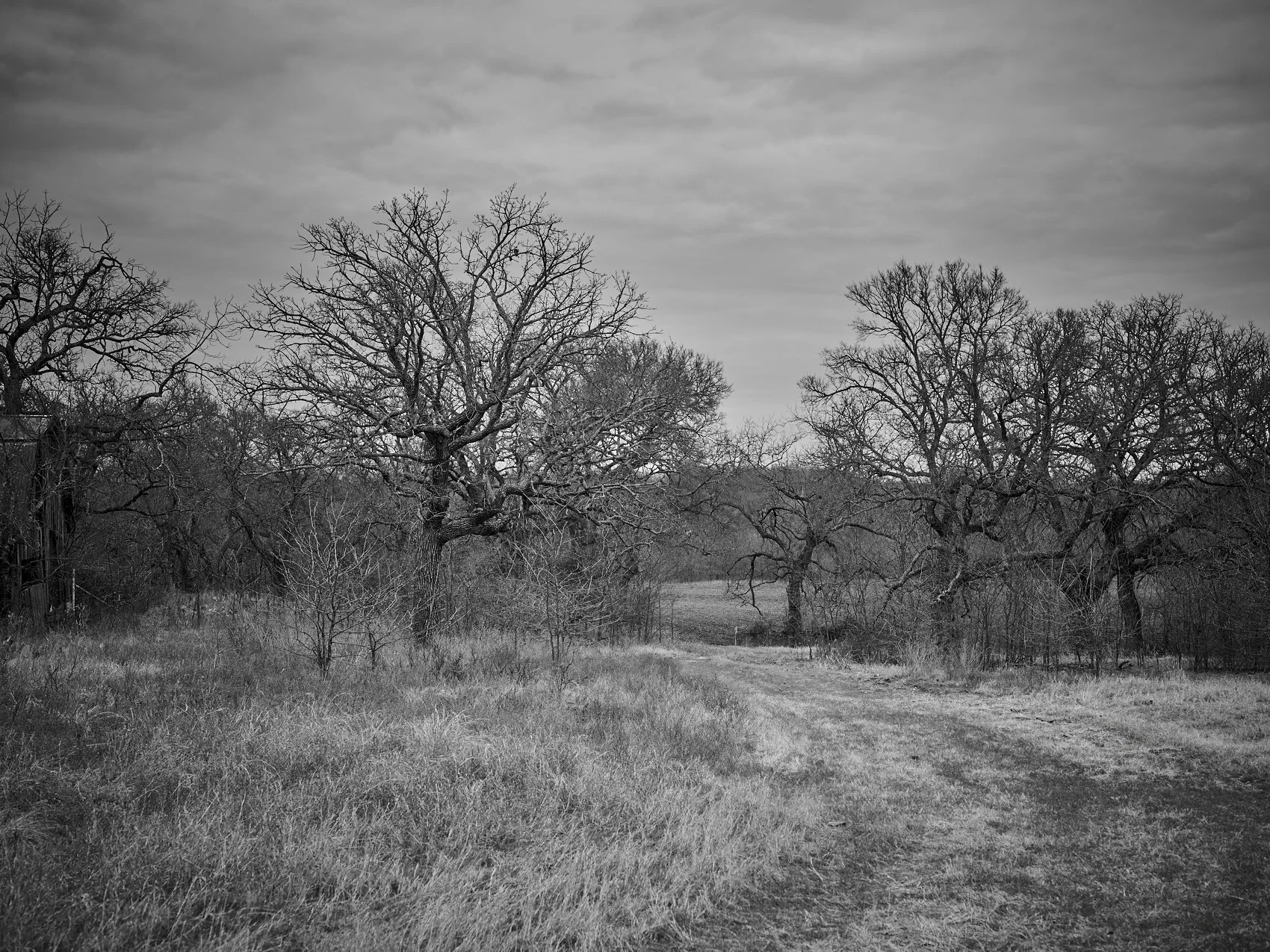 JanssenTX_CF005235 1.jpg