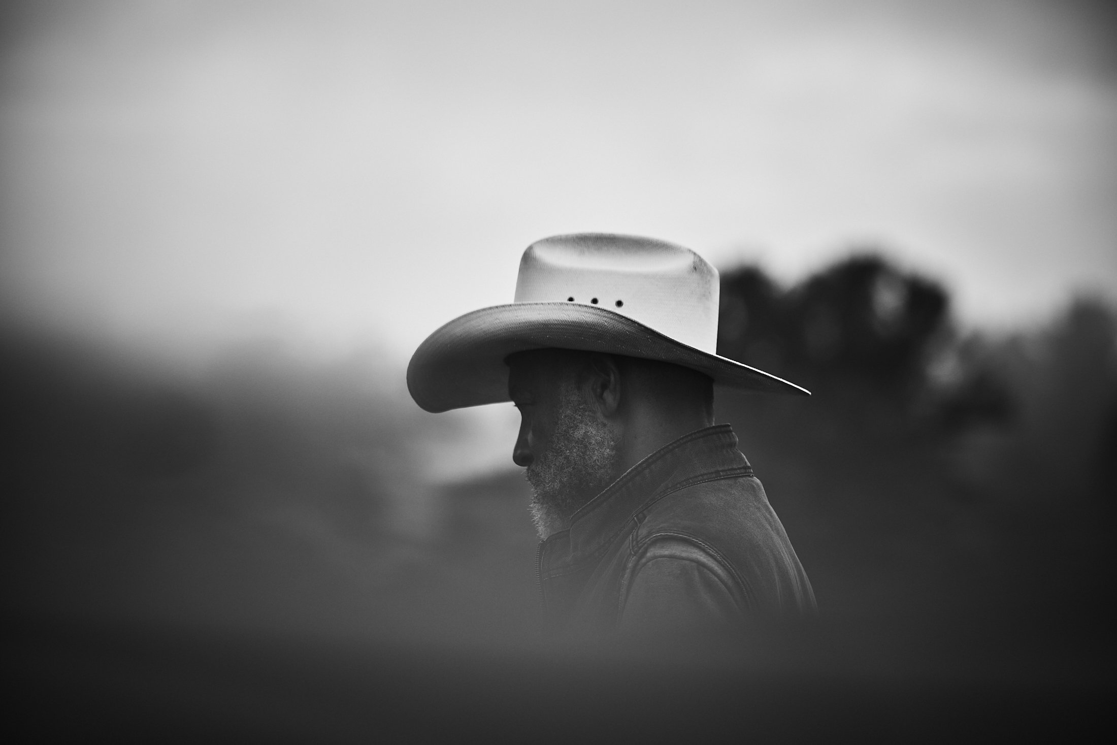 D3-S1-RANCHER_0352 1.jpg