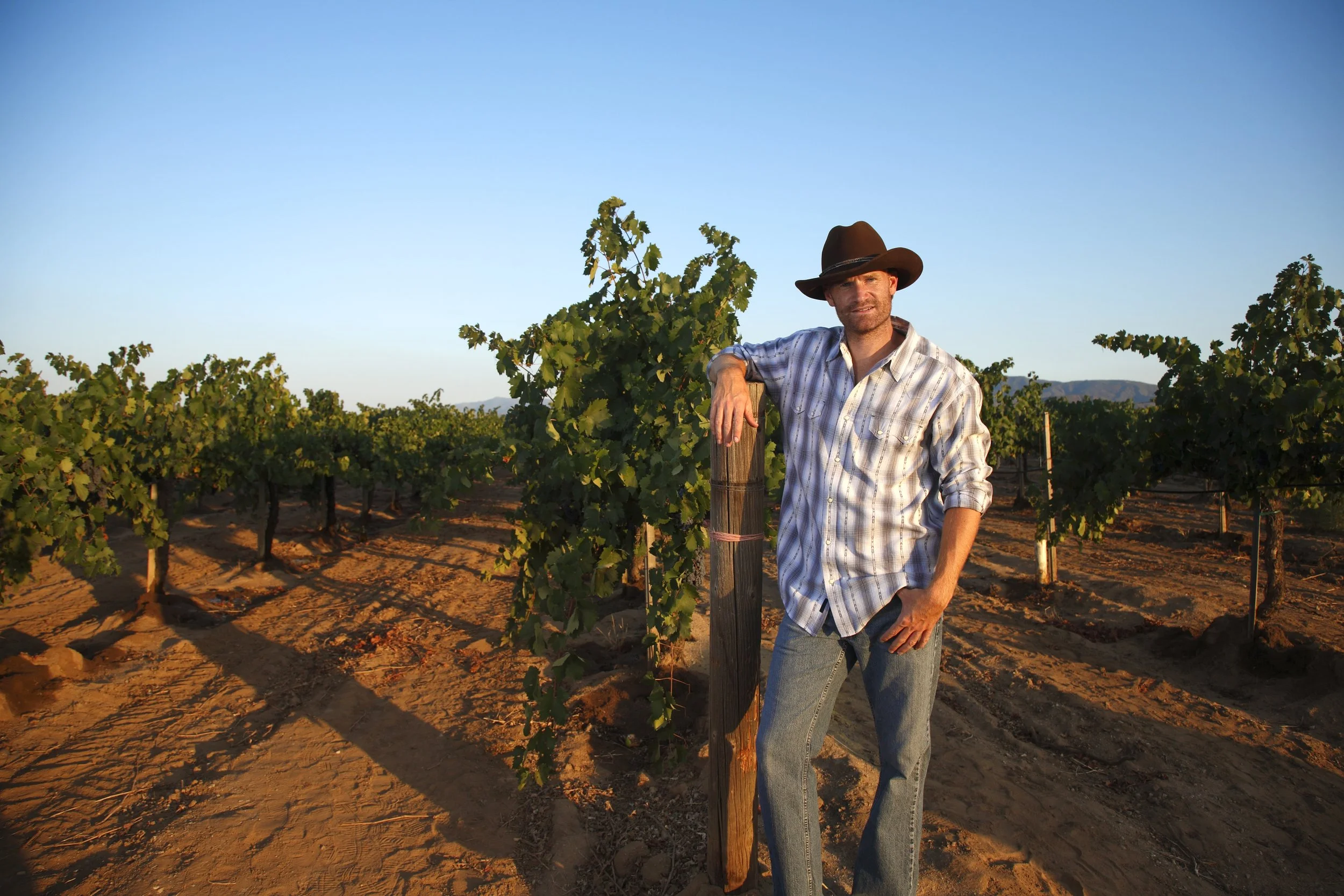 A man wearing a cowboy hat and plaid shirt standing in a vineyard during sunset.