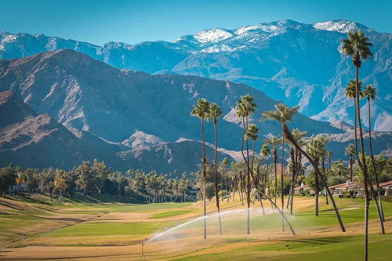 Palm Desert