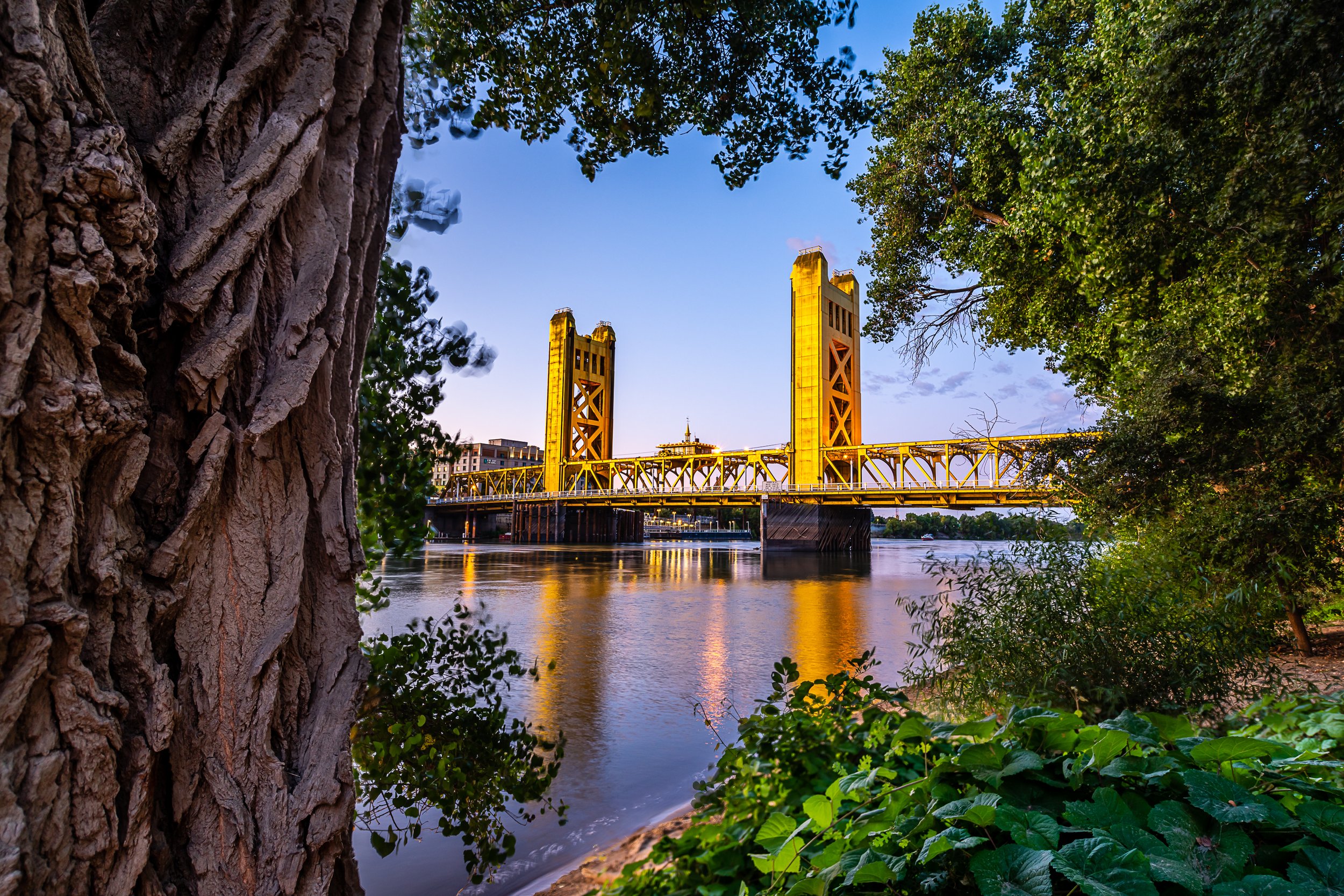 Sacramento Communities — Culbertson and Gray Group