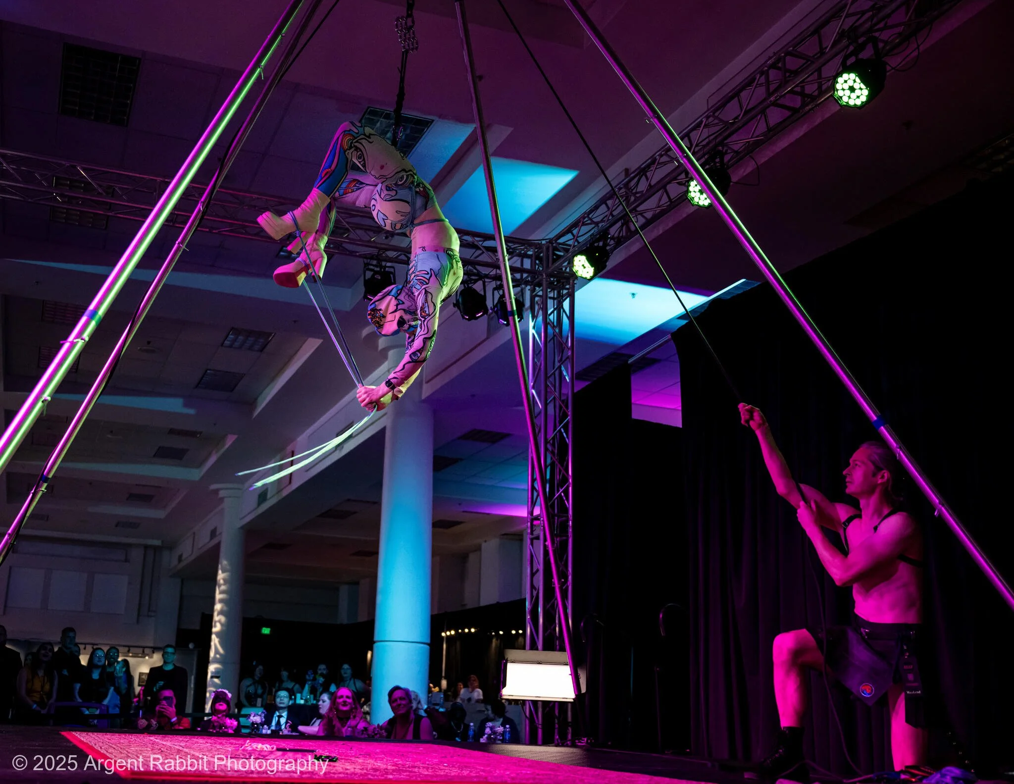 Lower Body Harness Variety Pack