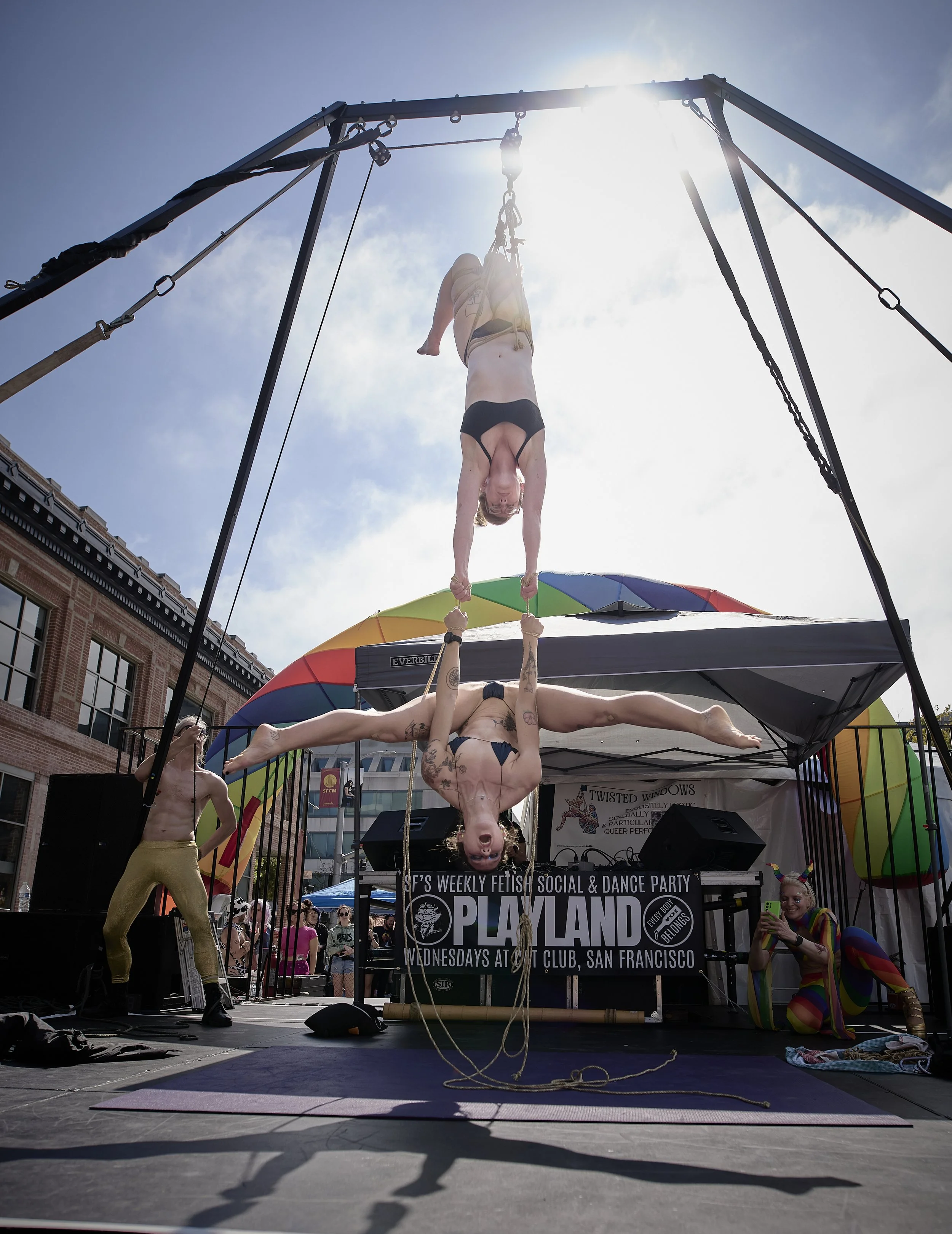 Rootofpride_4.jpg