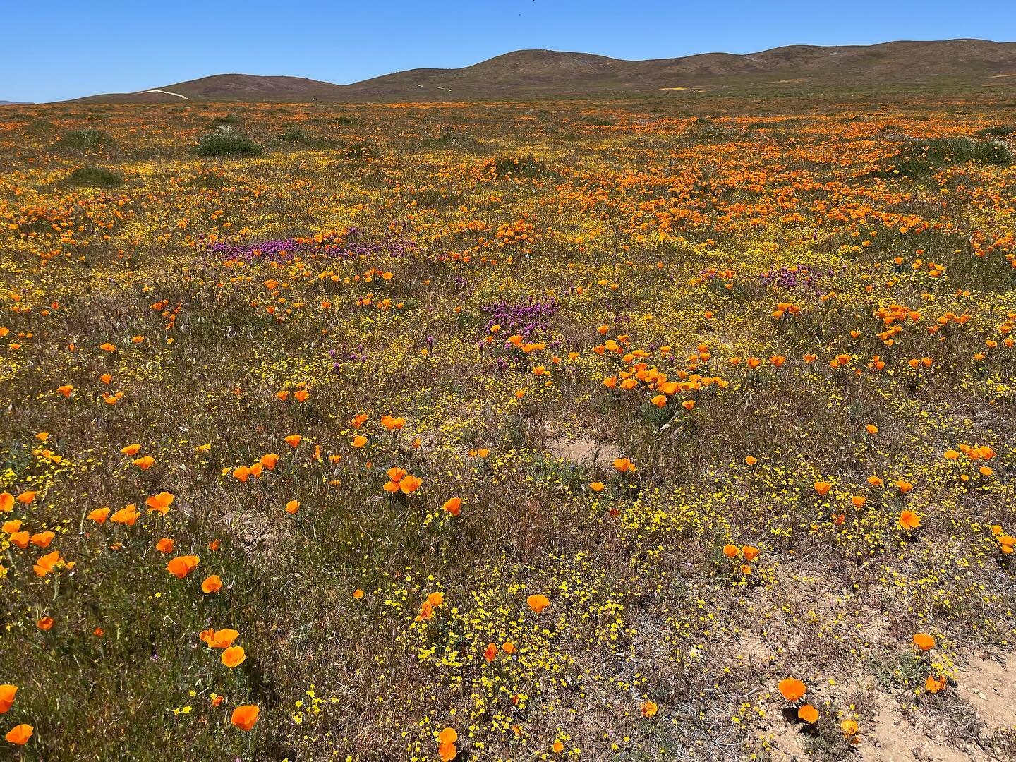 Gorgeous day in Antelope Valley with @kateswall. 🧡