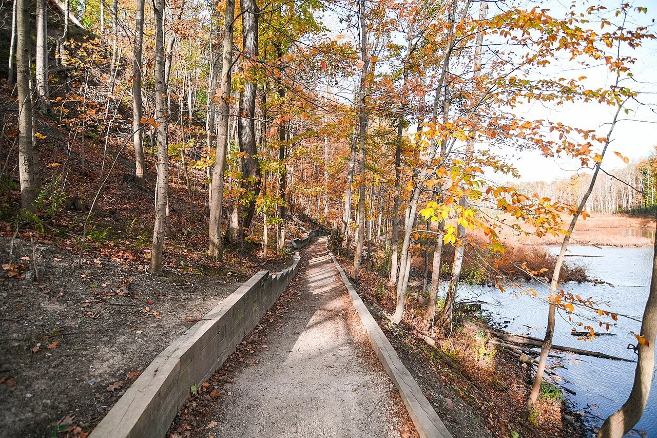 Wooded trail beside the water in Rocky River Reservation in autumn