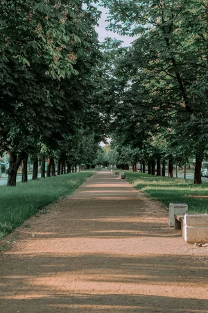 University Heights Outdoors: The Walt and Purvis Park