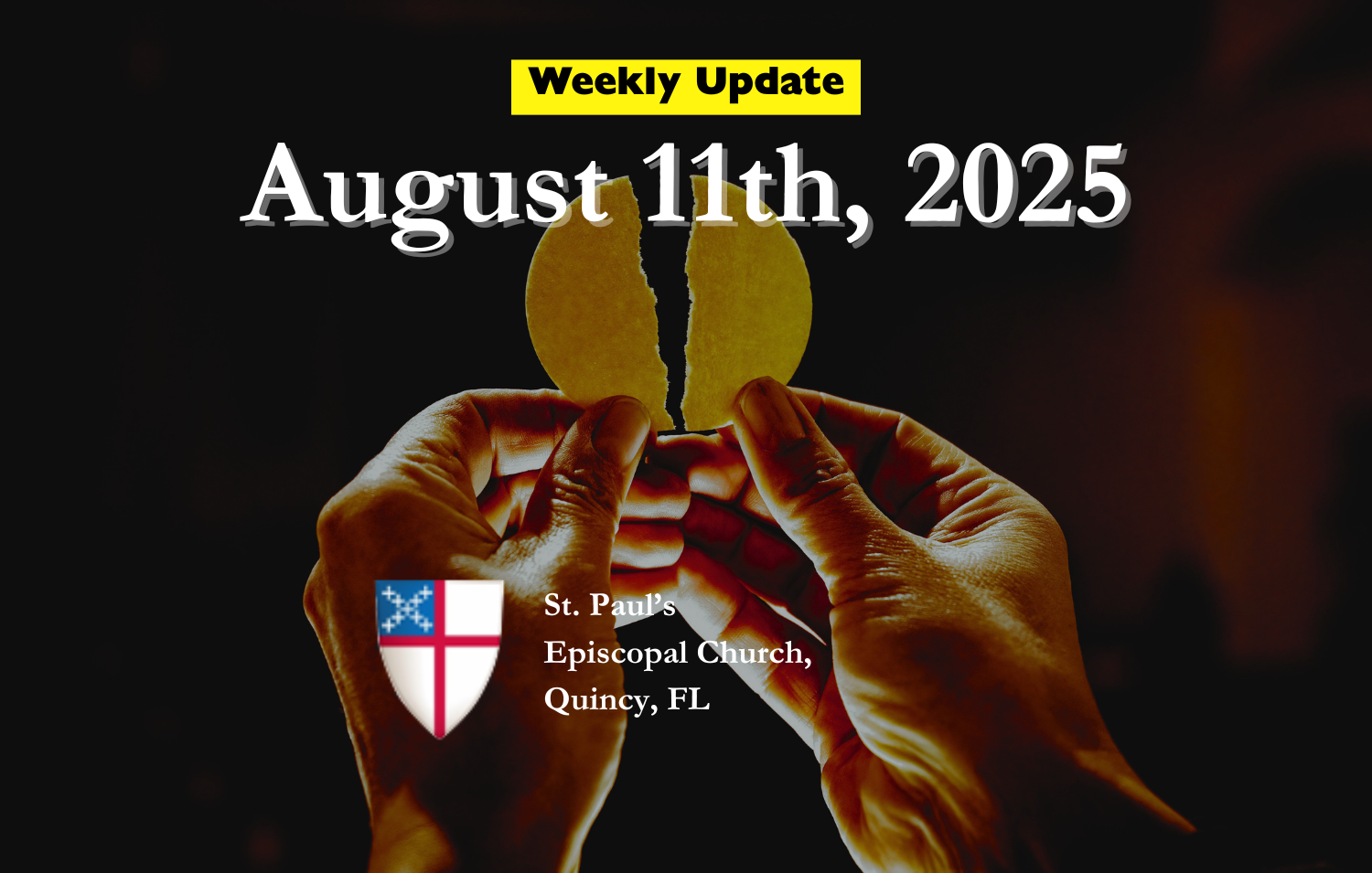 Weekly Update - August 11th, 2025