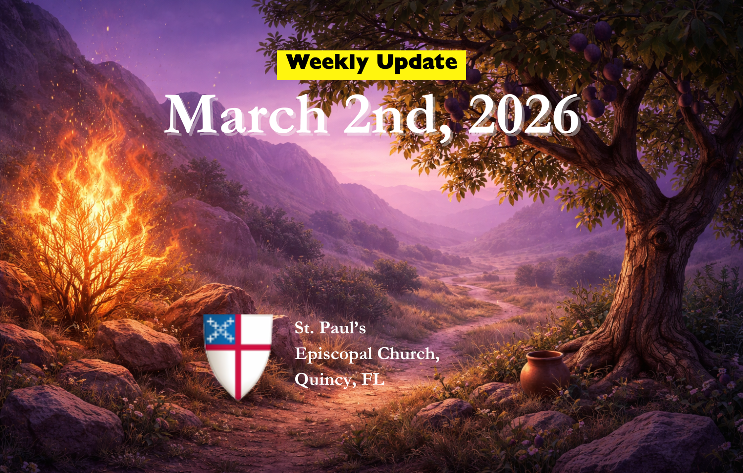 Weekly Update - March 2nd, 2026