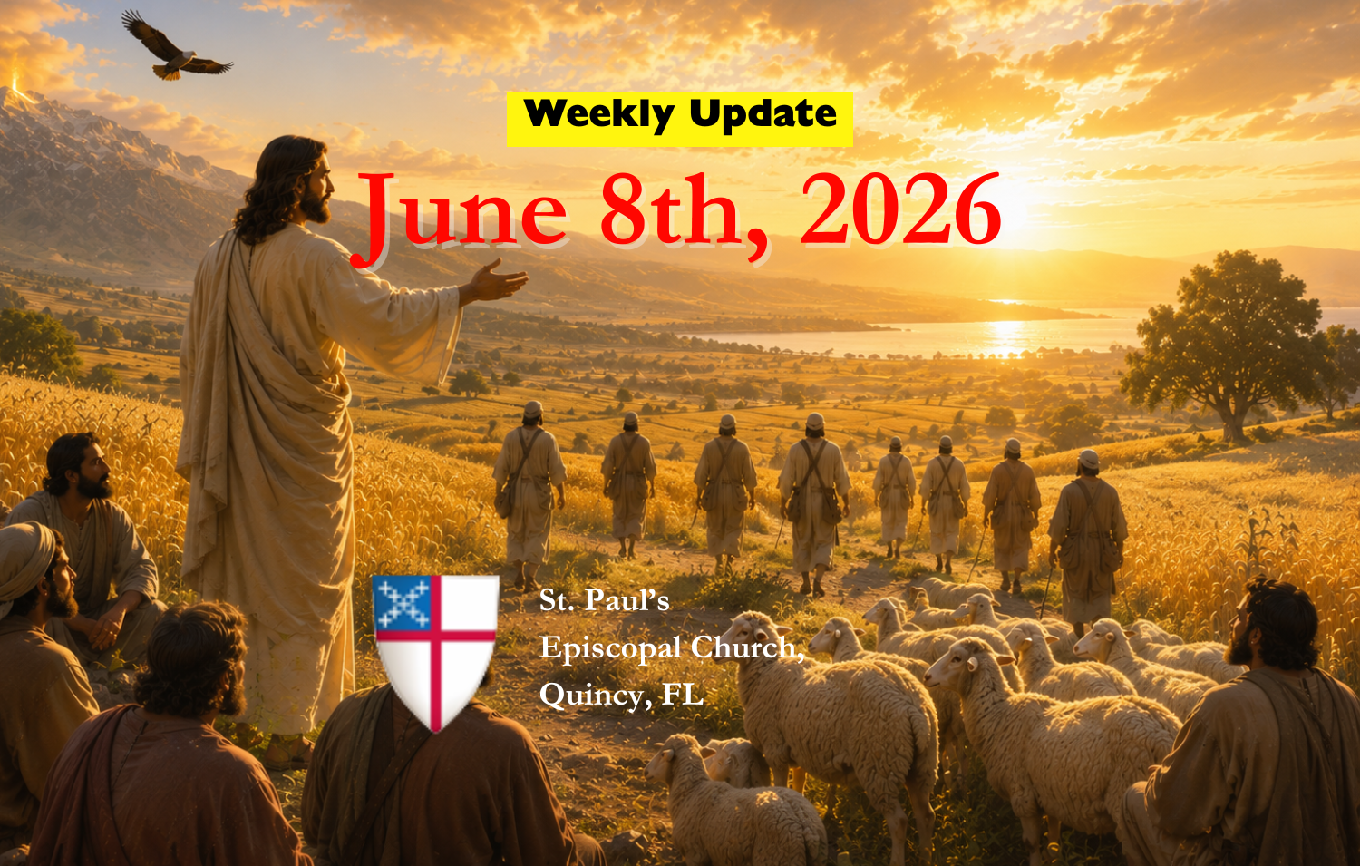 Weekly Update - June 8th, 2026