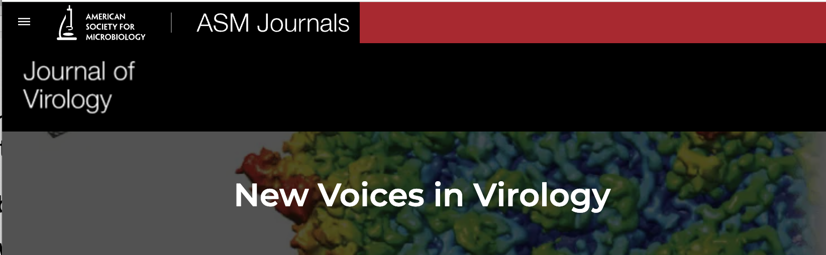 Megan selected by the Journal of Virology as a member of the inaugural class of "New Voices in Virology"!