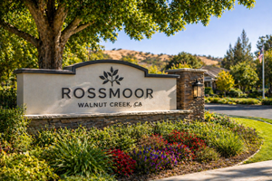 Why East Bay Condos Are Getting Harder to Sell: The Fannie Mae Problem Walnut Creek Homeowners Need to Know