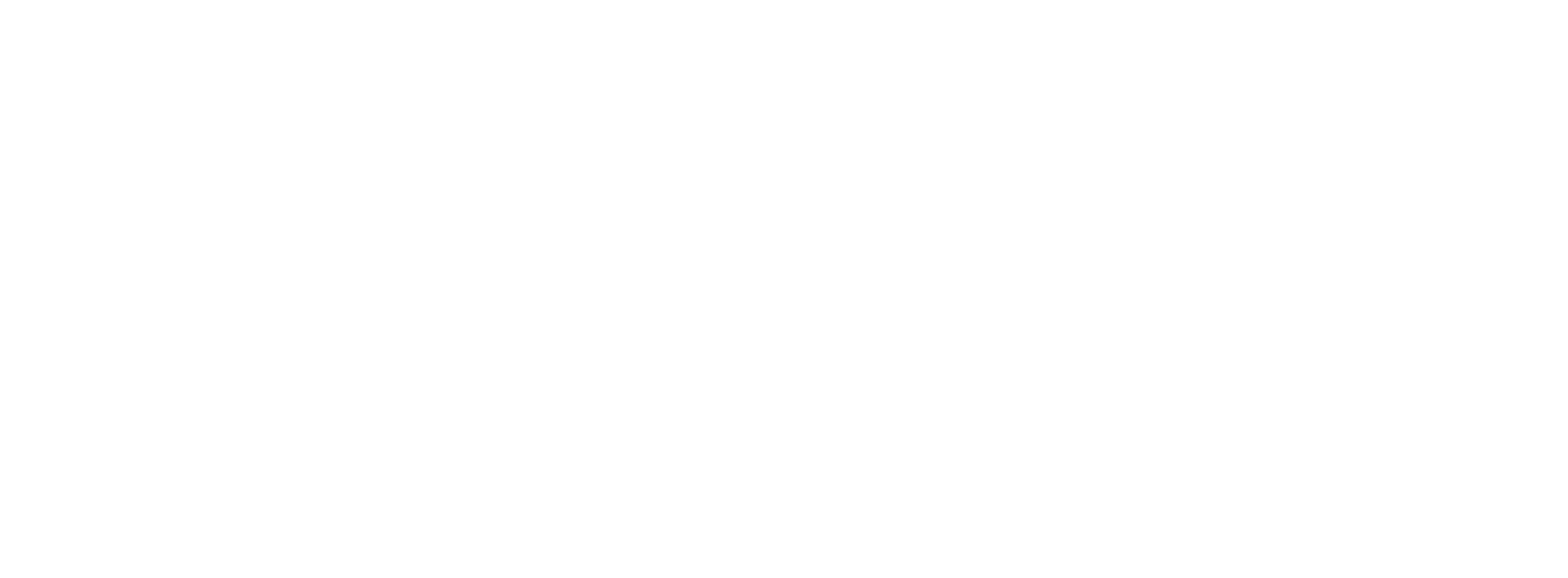 Company logo image Footer