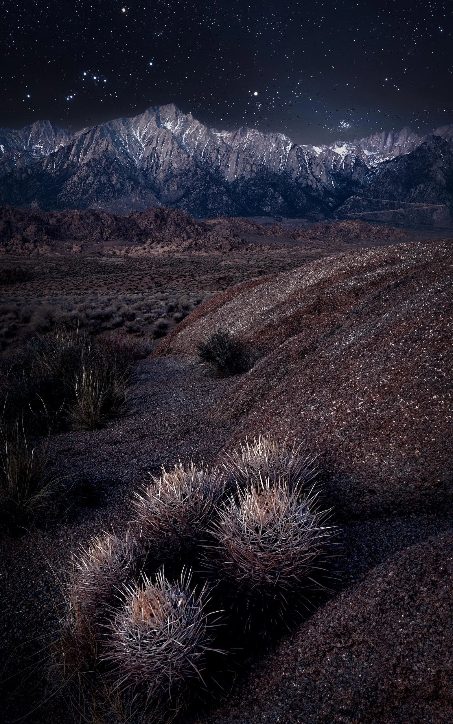 Mount Whitney and Lone Pine Peak with Cactus