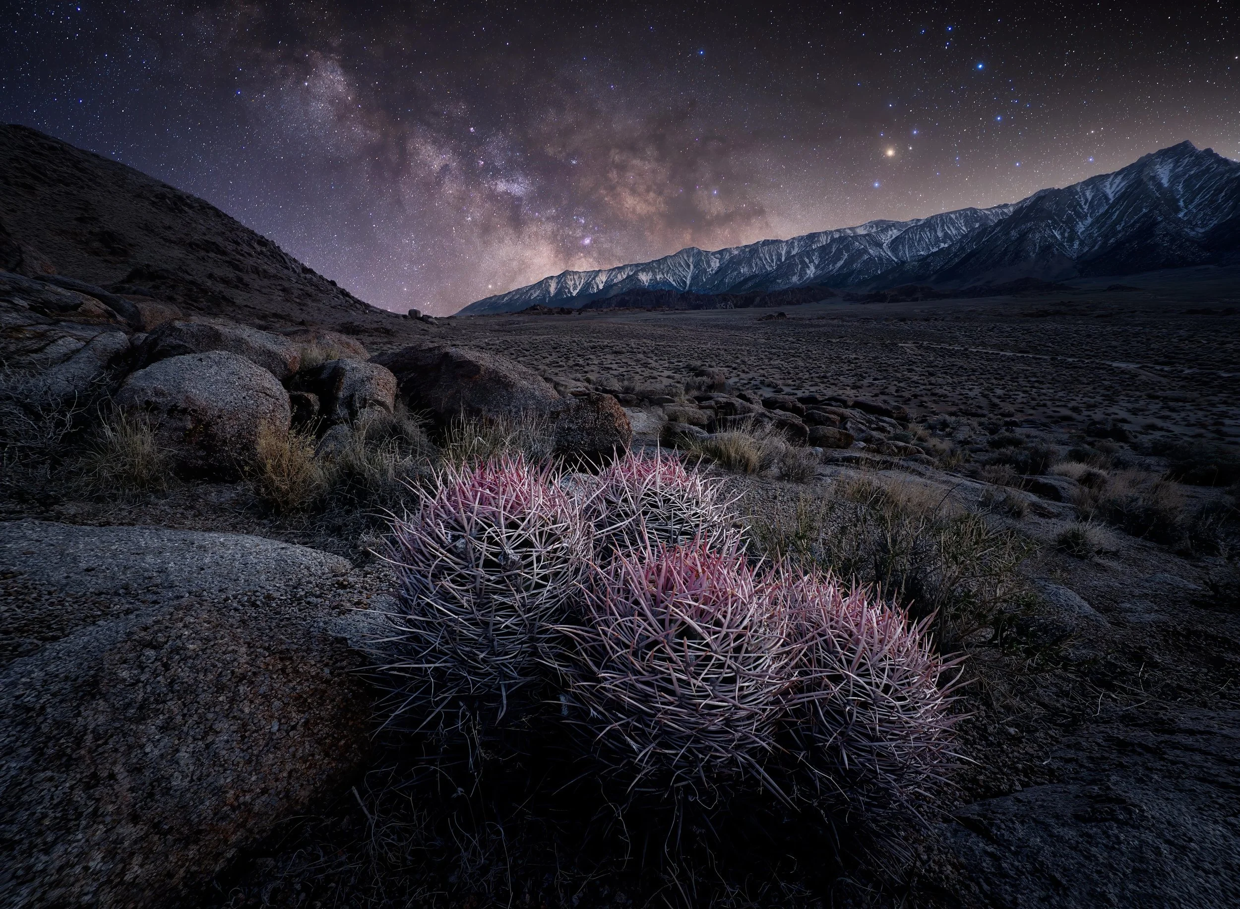 Lone Pine Peak and Cactus Night Sky