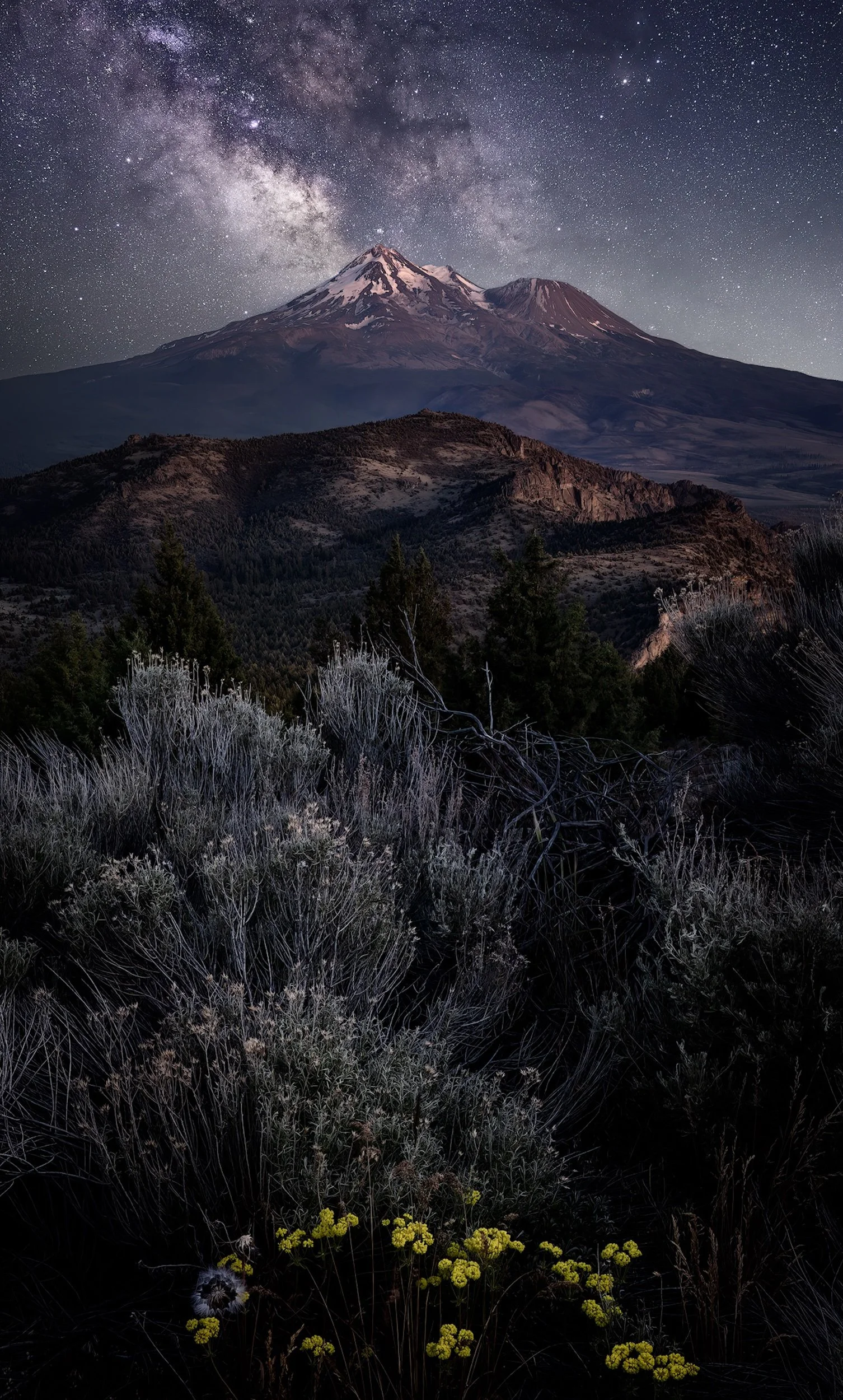 Mount Shasta Milky Way Nightscape