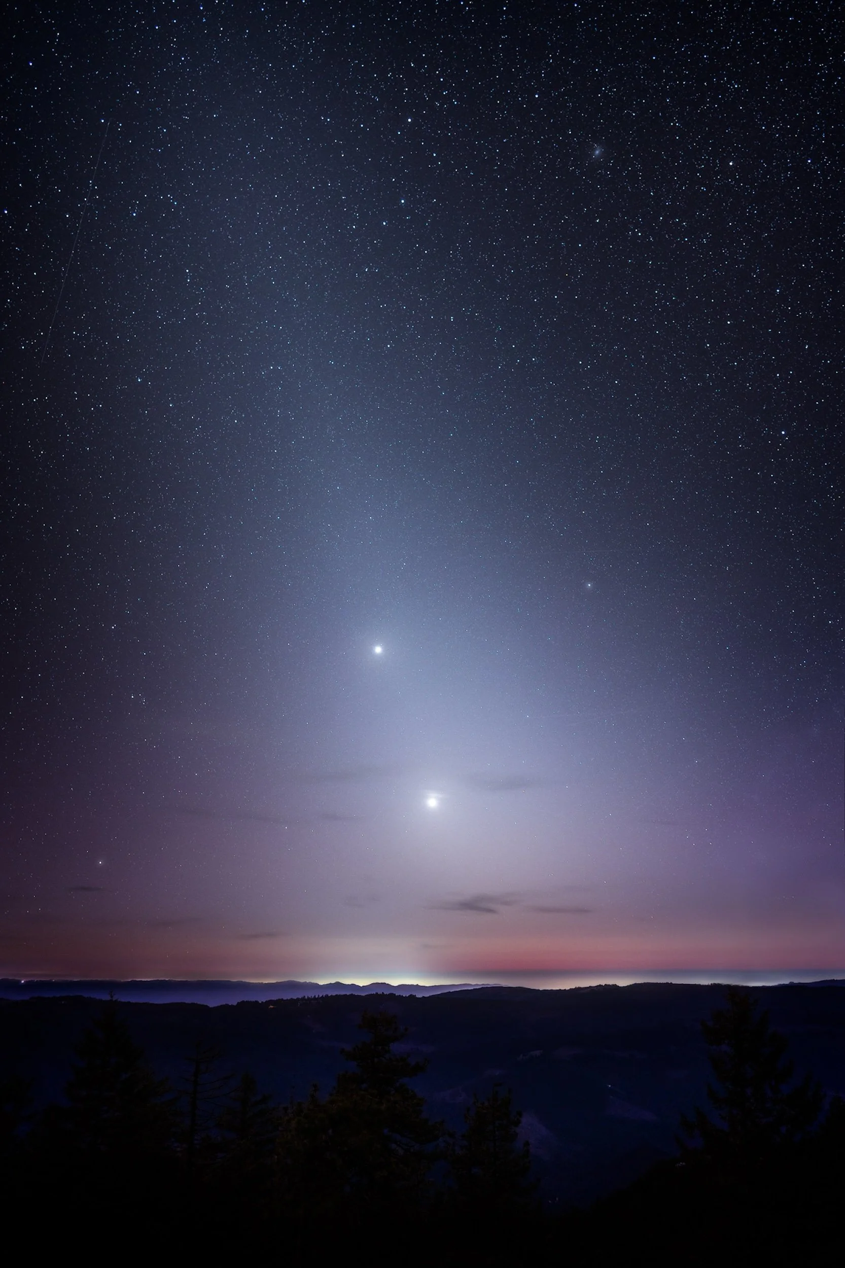 Zodiacal Night Sky