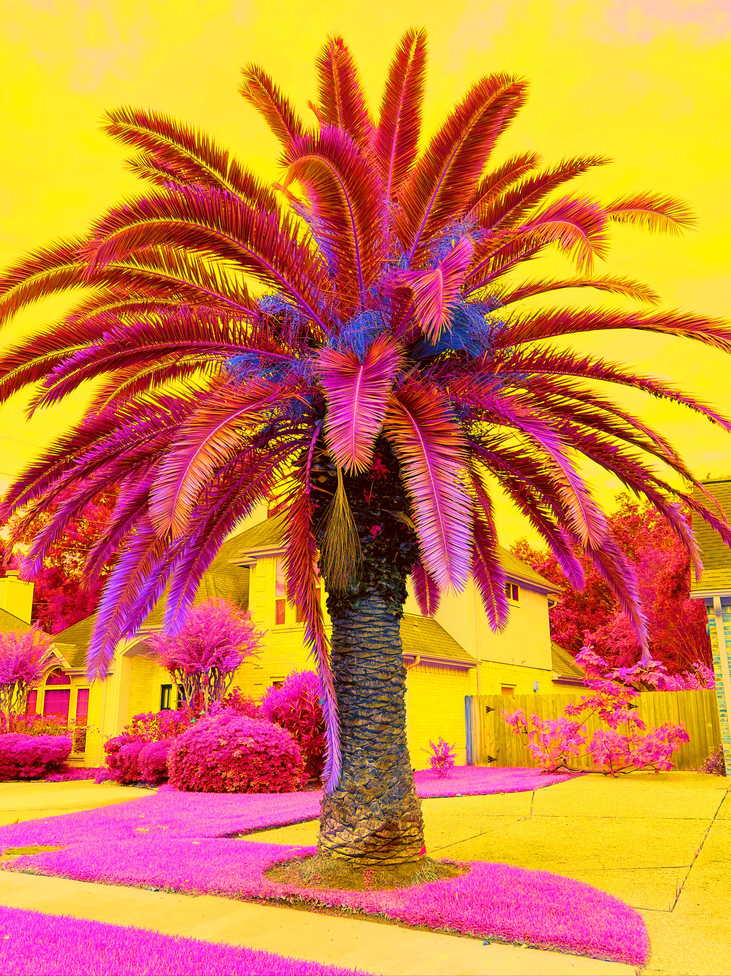 BEE5DE92-0DE9-4960-B5B6-A071D012E48E.jpeg