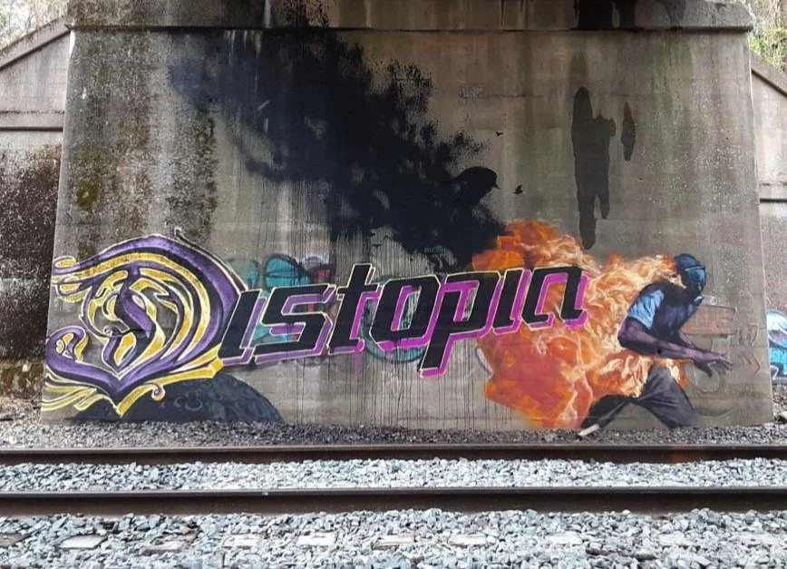 yv7k9cocx0l51.jpg