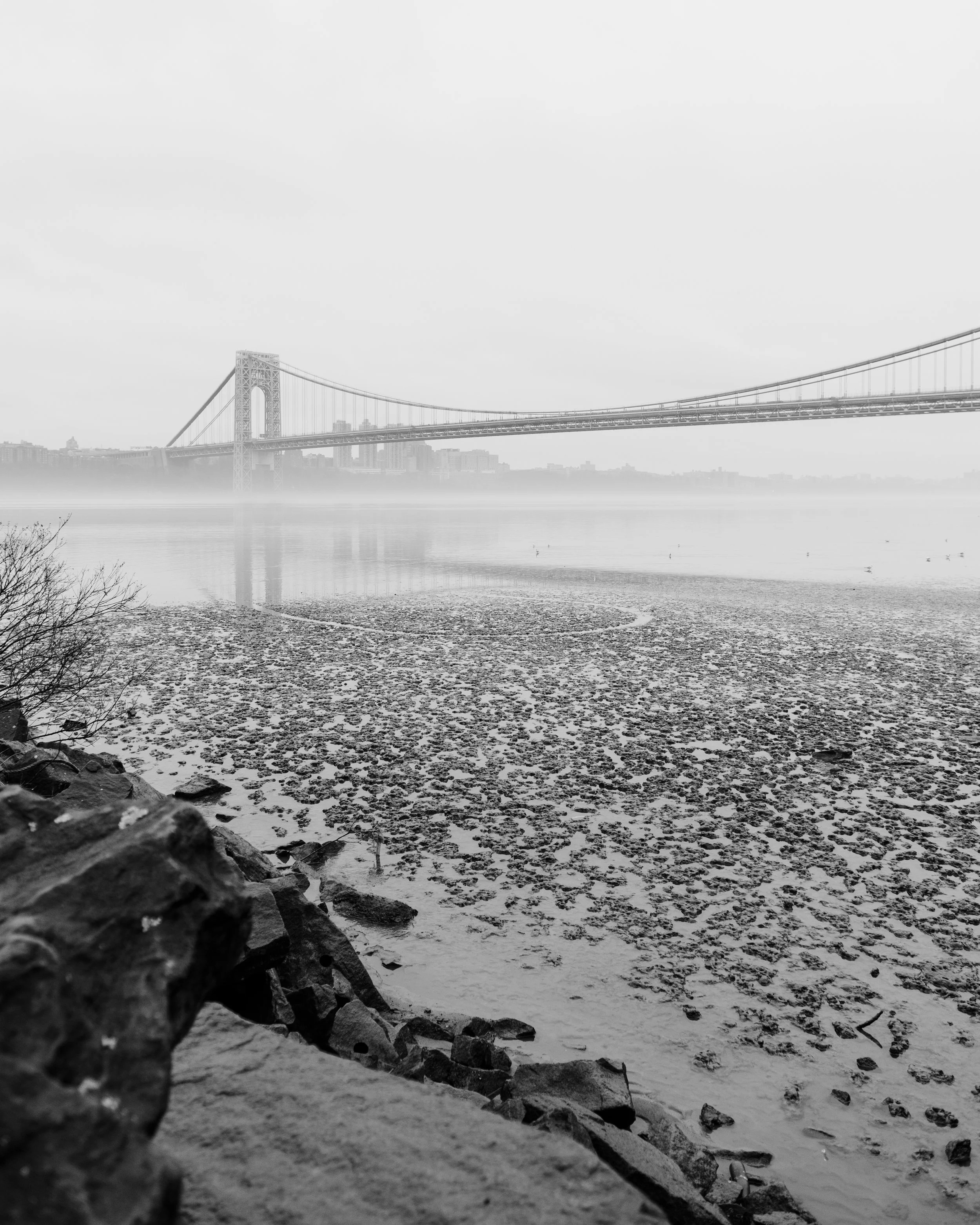 DSC_2159.jpg