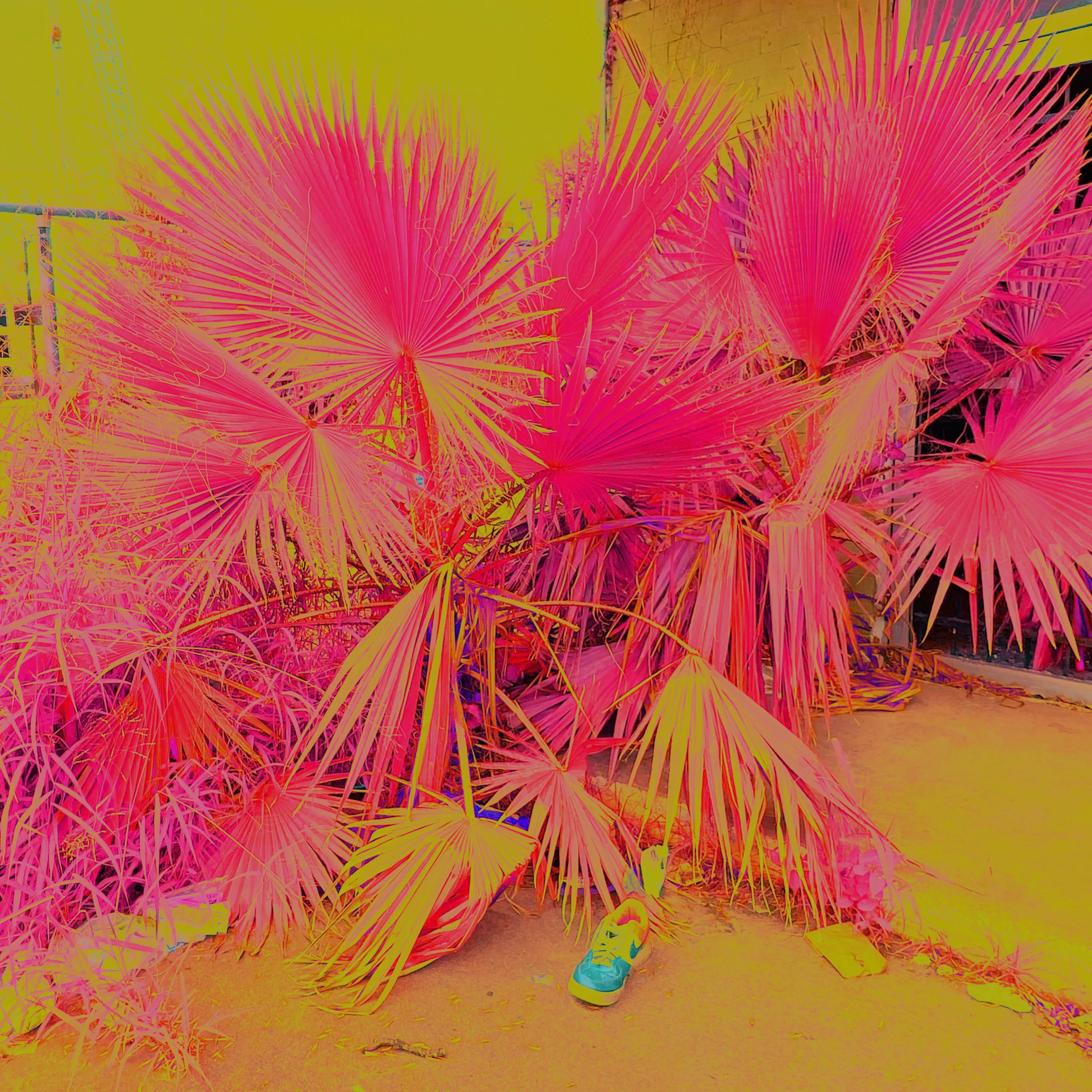 7207A3D3-415A-4D14-B985-C0405C31D0B2.jpeg